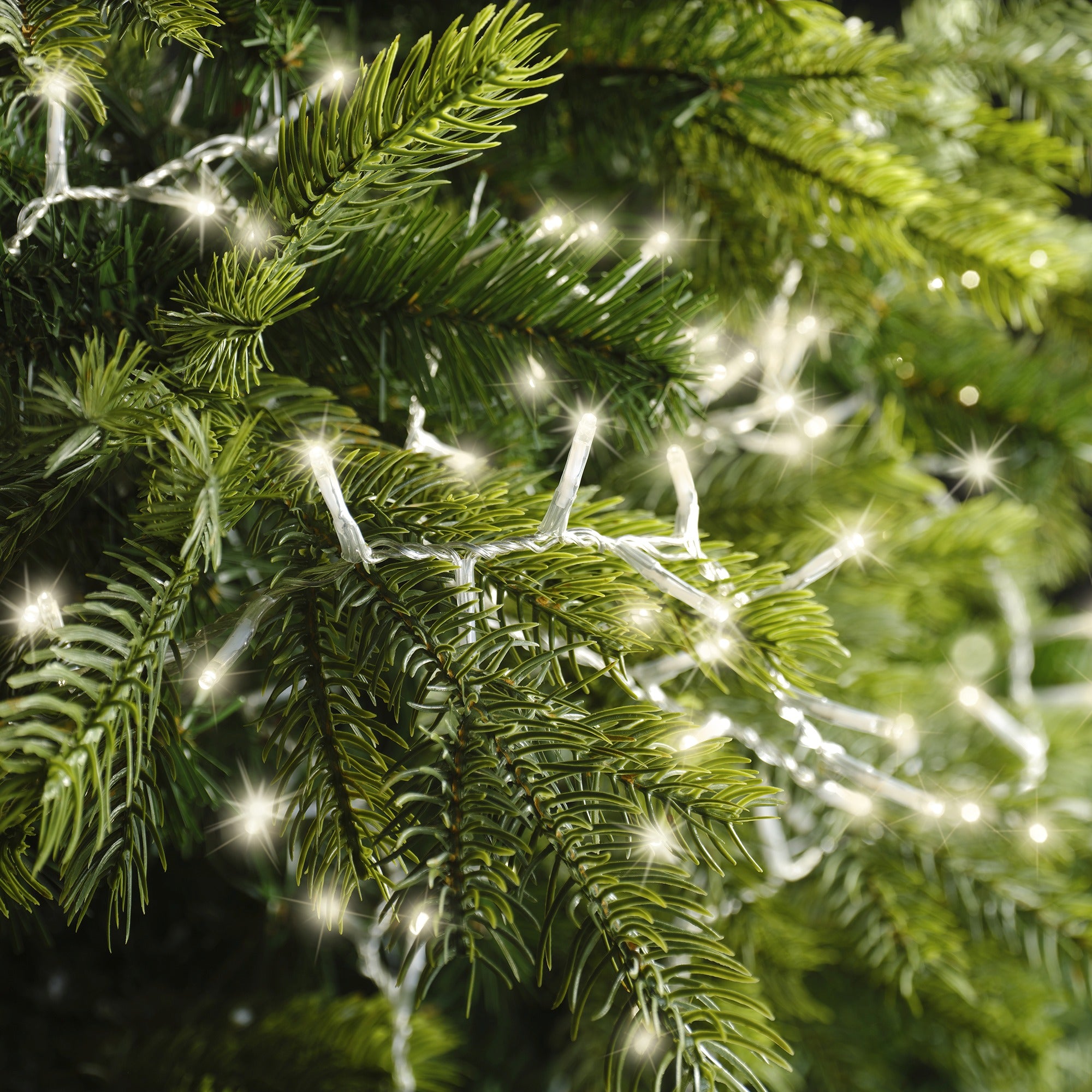 Lumineo LED compact 2250cm 1000L - transparant/warm wit - kerstverlichting