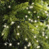 Lumineo LED compact twinkel 1600cm 750L - groen/warm wit - kerstverlichting