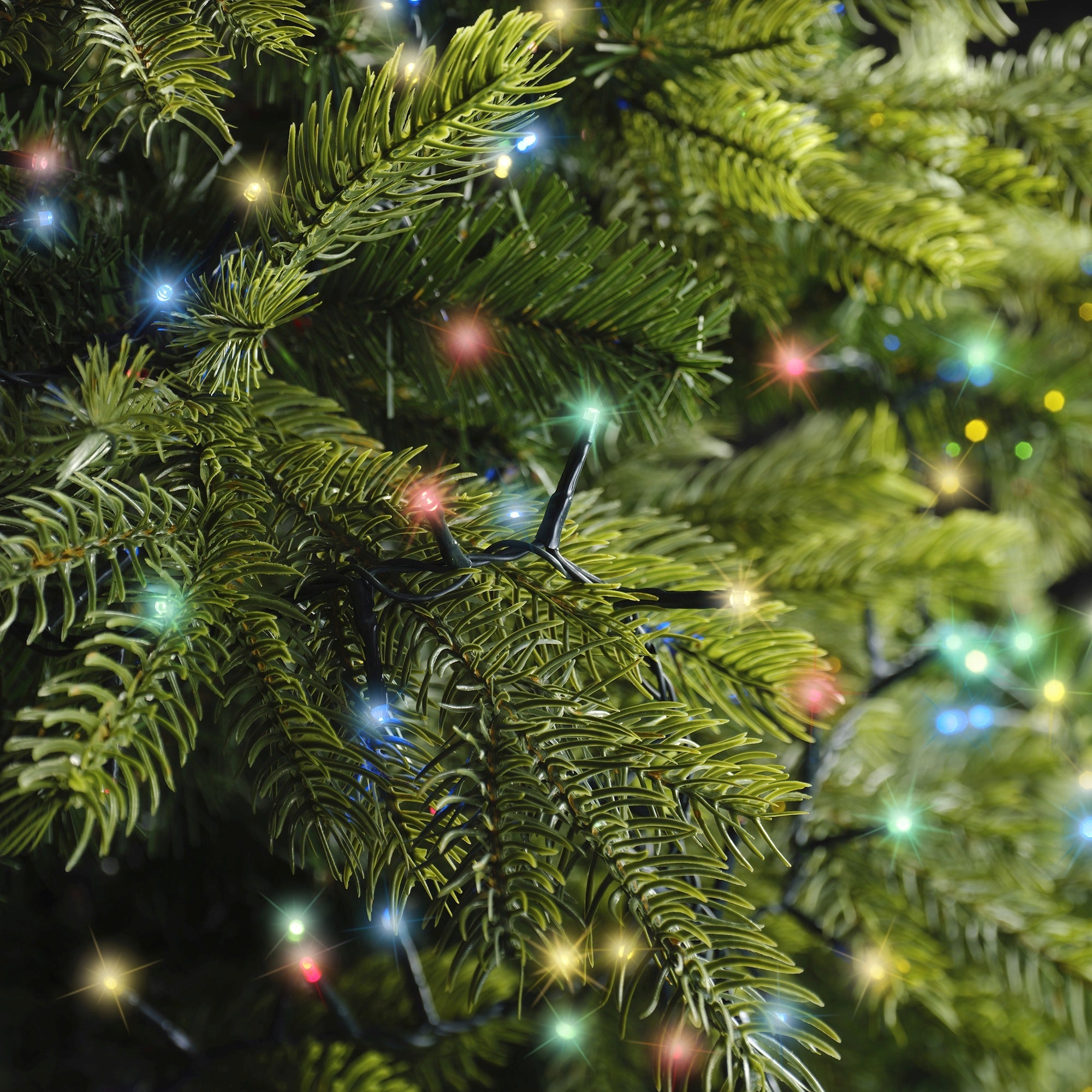 Lumineo LED compact twinkel 2250cm 1000L - groen/multi - kerstverlichting