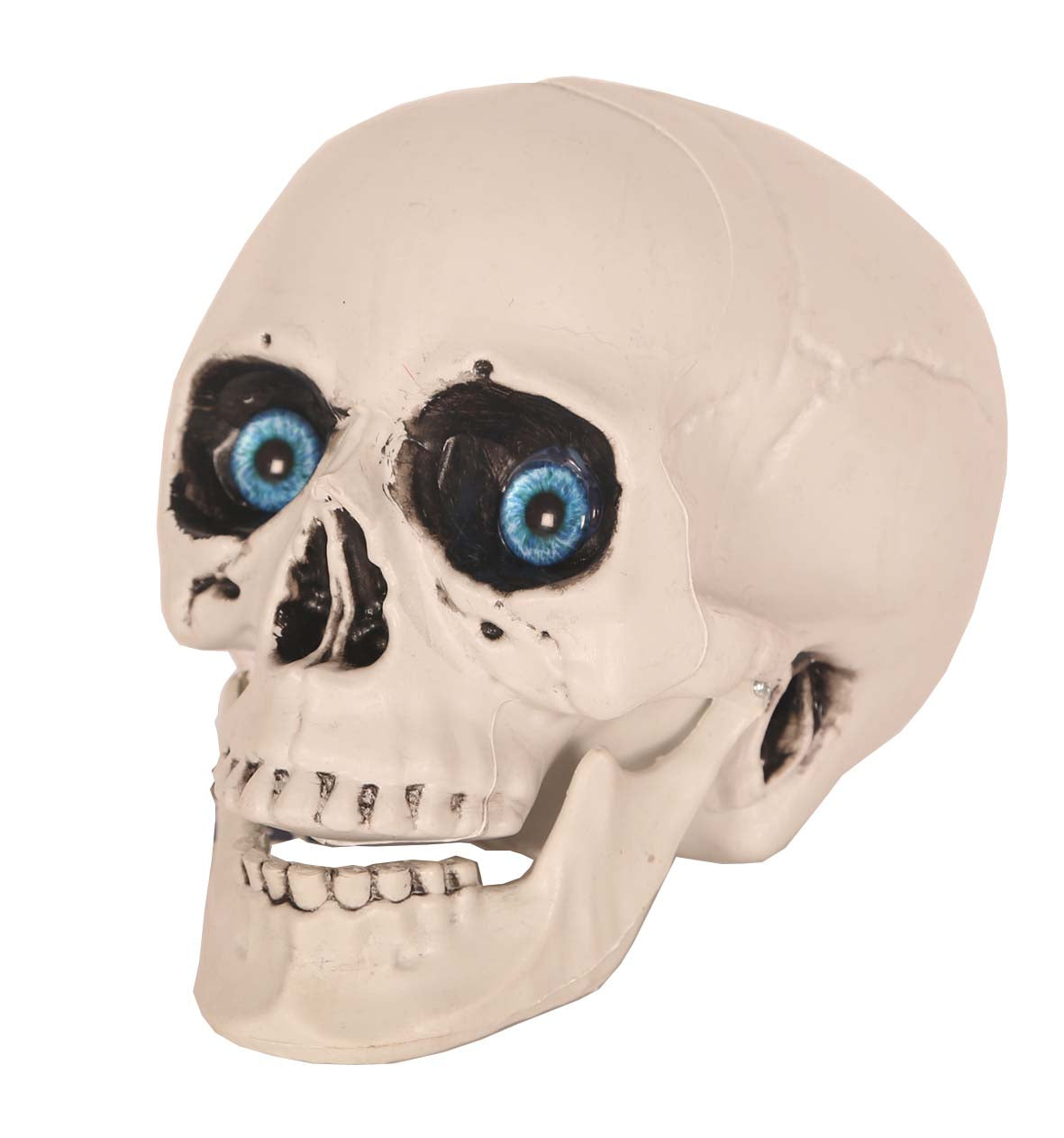 Deco skull - 20cm