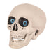 Deco skull - 20cm