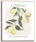 Slim frame wood - 40x50cm - limoni