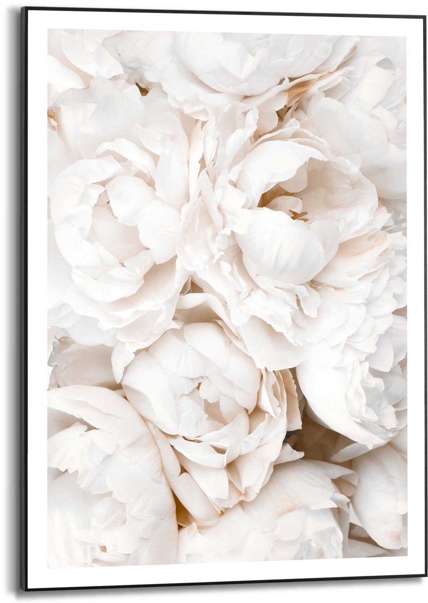 Slim frame black - 50x70cm - white roses