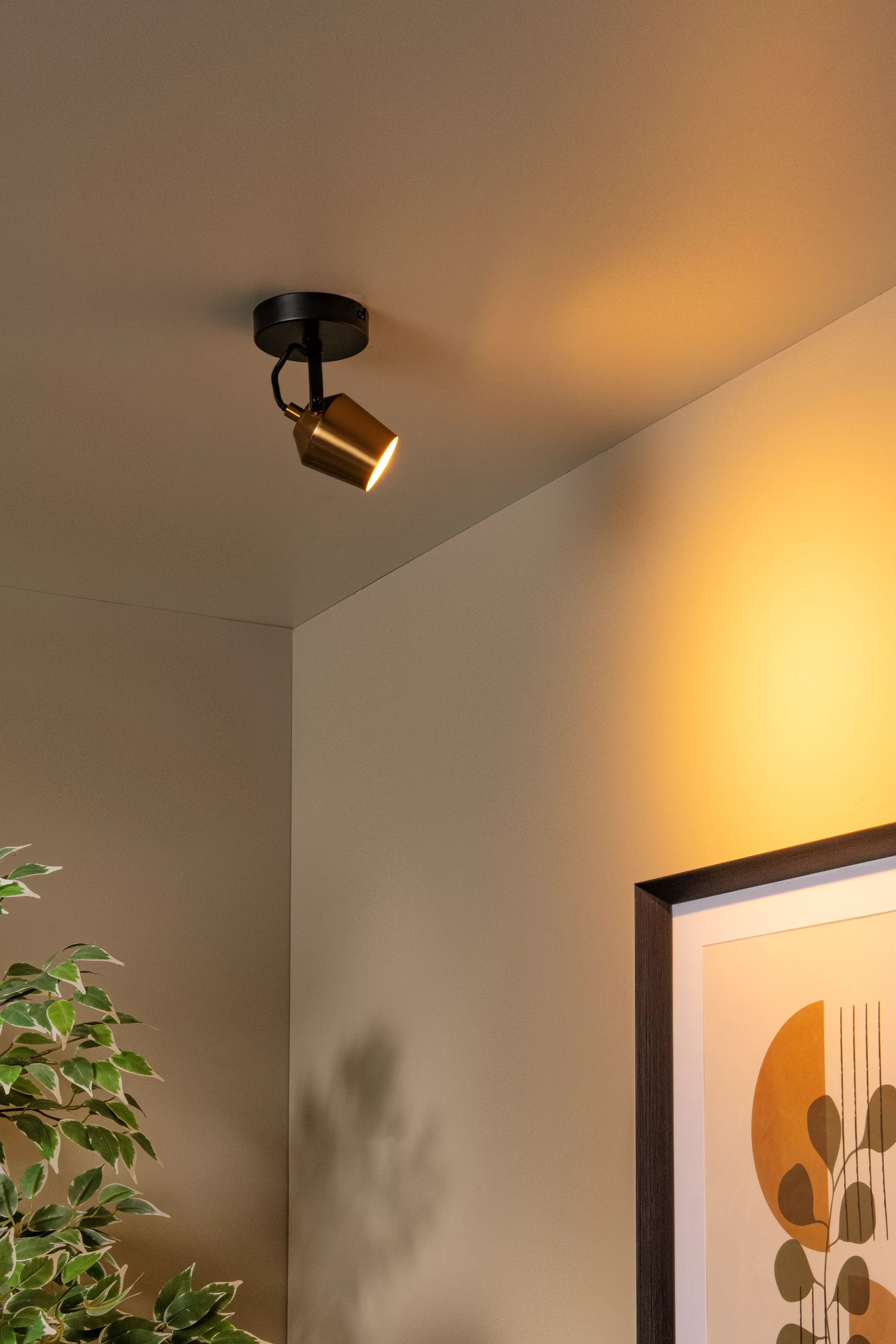 LUCIDE Emile plafondspot mat go dia 10,5 1xGU10 8W