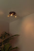 LUCIDE Ritmo plafondspot mat go dia 18 3xGU10 MR11