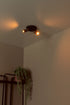LUCIDE Ritmo plafondspot koffie dia 15 2xGU10 MR11