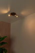 LUCIDE Ritmo plafondspot mat go dia 15 2xGU10 MR11