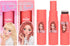 TOPMODEL Blush & brush stick
