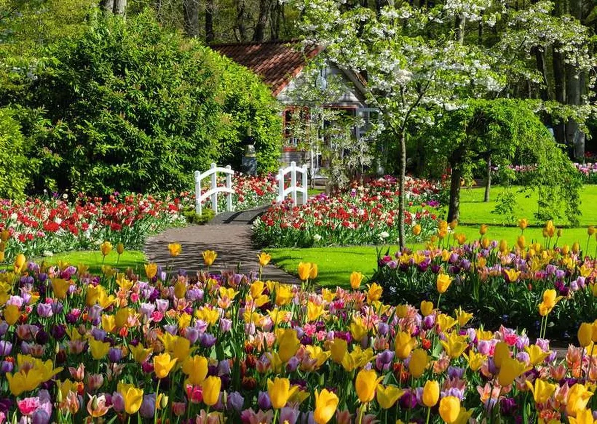 RAVENSBURGER Puzzel 1000st - Keukenhof Gardens