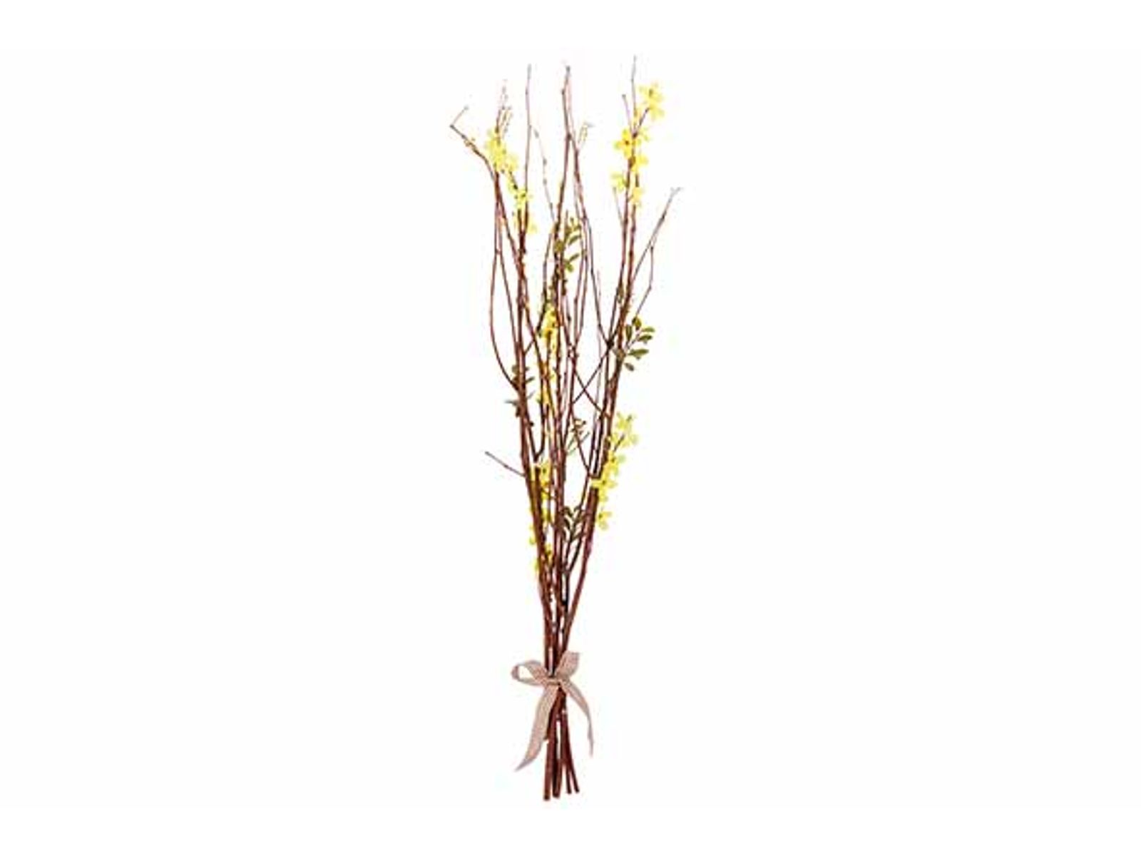 Tak blossom natuur - 20x7x80cm