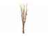 Tak blossom natuur - 20x7x80cm
