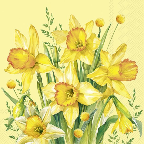 IHR Cocktailservet 25x25cm - Narcissen boeket     1071070