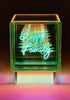 MESSAGE IN THE BULB - Box Happy family