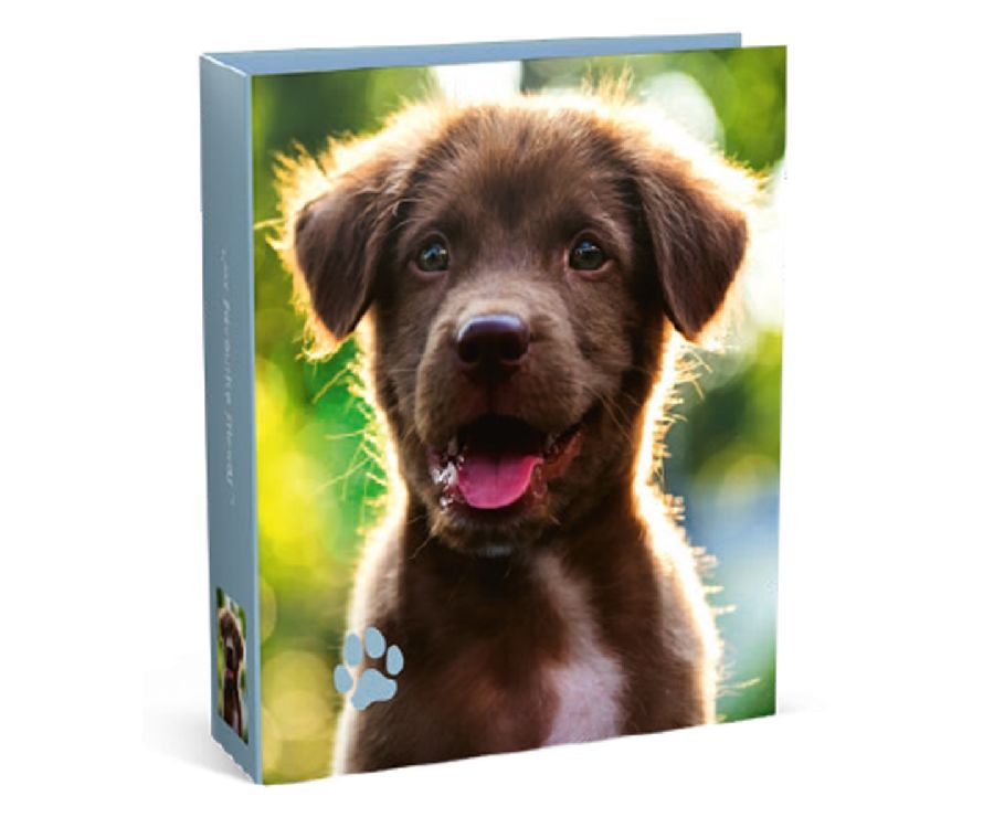 MY FAVOURITE FRIENDS Brede ringmap 8cm - Hond