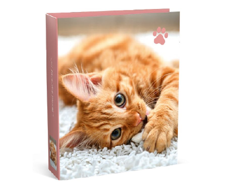 MY FAVOURITE FRIENDS Brede ringmap 8cm - Kat