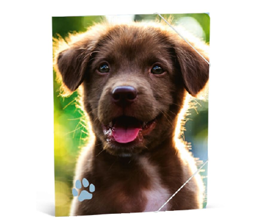 MY FAVOURITE FRIENDS Elastomap A4 - Hond
