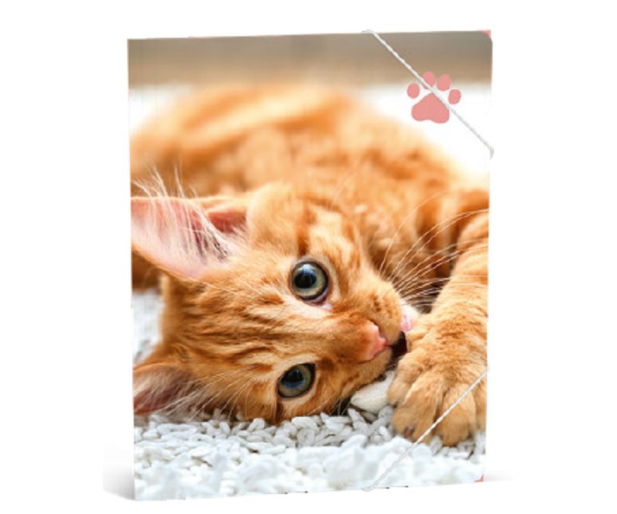MY FAVOURITE FRIENDS Elastomap A4 - Kat