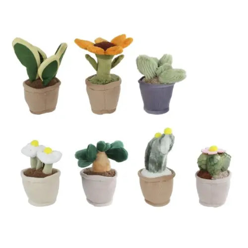 TAKE ME HOME plant S - 12-17cm - 7ass (prijs per stuk)