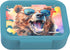 LUNCH BUDDIES Koekendoosje - Animals bear
