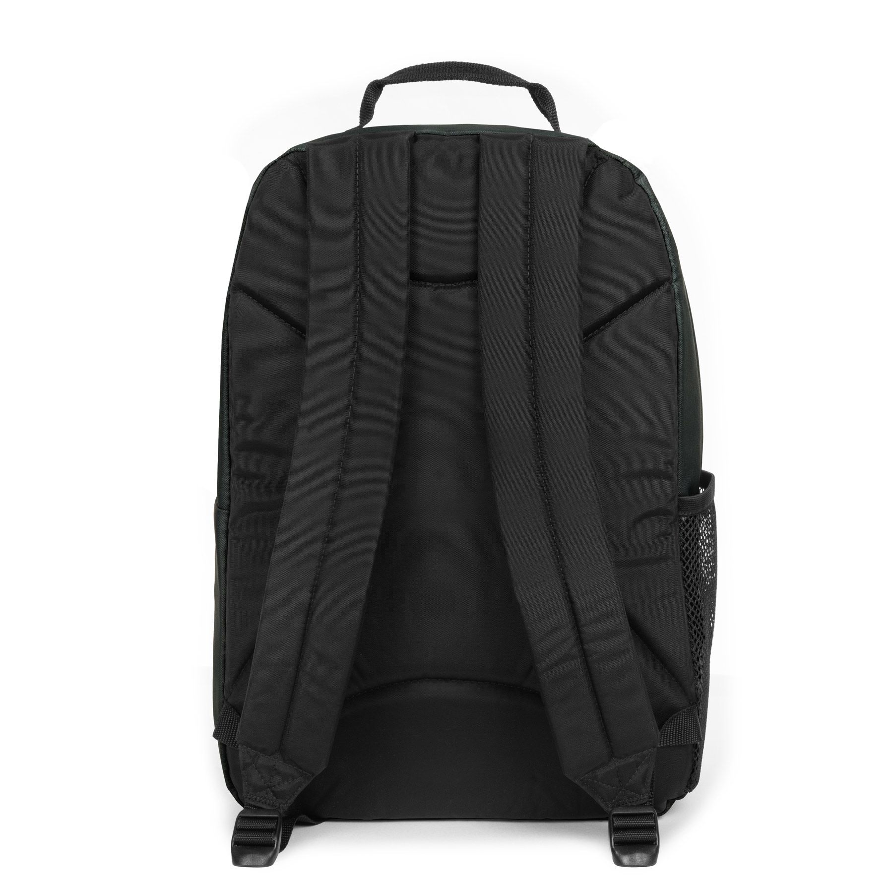 EASTPAK Study buddy rugzak - Black