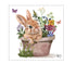 PPD Servetten - 25x25cm - Colette
