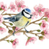 PPD Servetten - 25x25cm - Lente vogels