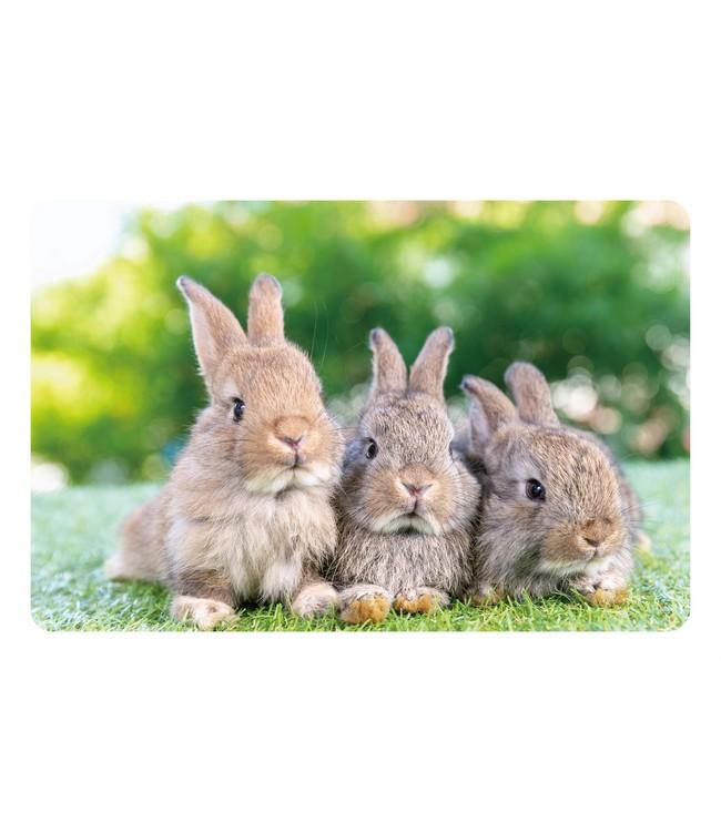 Placemat - PP bedrukt - 28,5x43,5cm - 12st - HOPPY PLACE