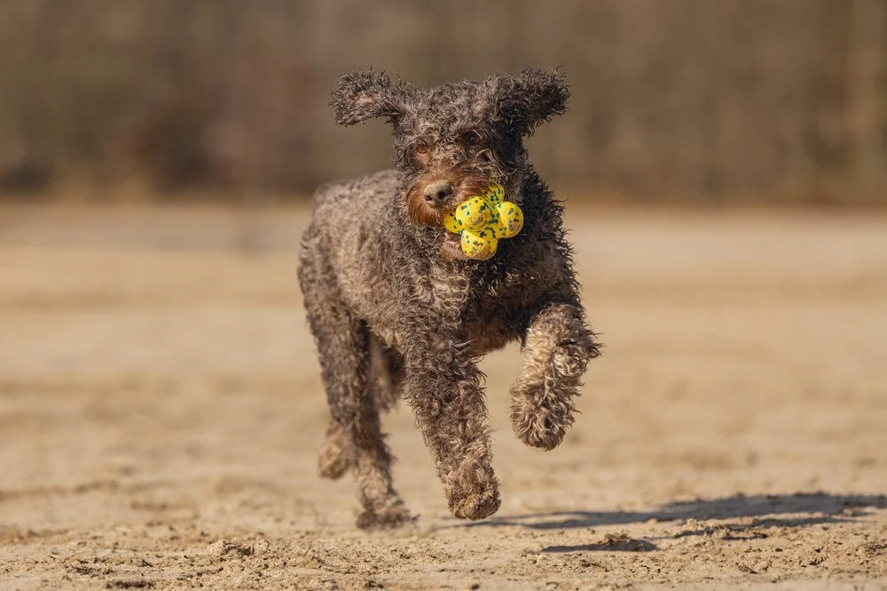 BEEZTEES Fetch foam speelgoed - atoom 8cm - geel