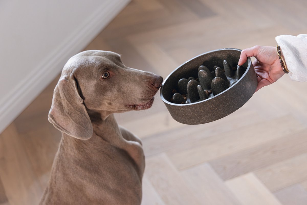 Designed by Lotte Hondenvoerbak POM grijs - 21cm Bamboo