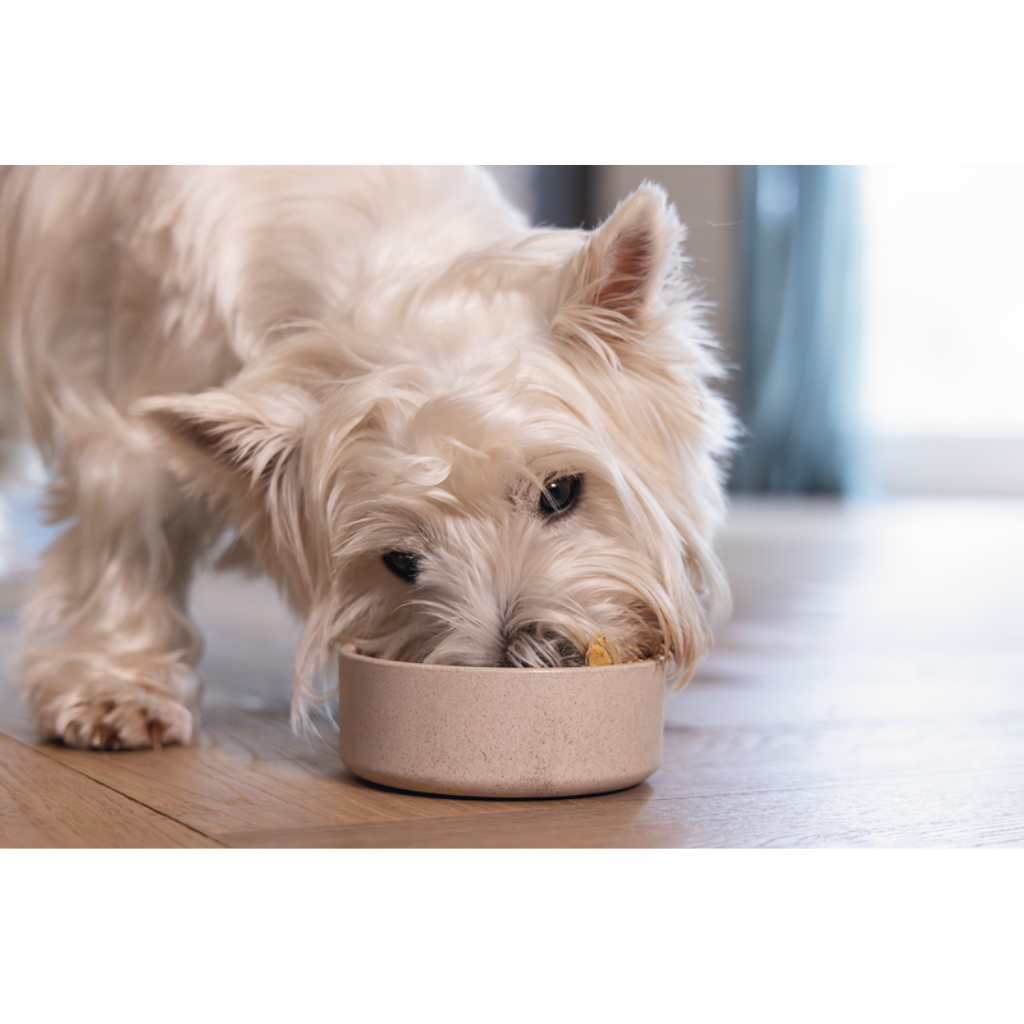 Designed by Lotte Hondenvoerbak NOOR beige - 12cm Bamboo