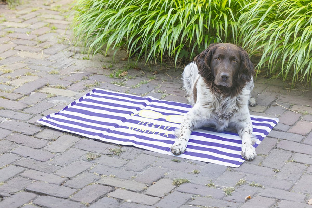 BEEZTEES Koelmat Hello summer - 100x60cm Blauw/wit