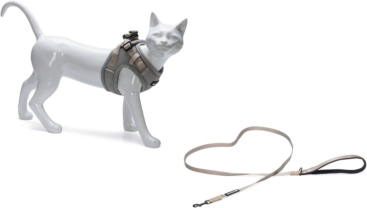 BEEZTEES PARINCA Kattentuigje + leiband - grijs Borstomtrek 37/42cm