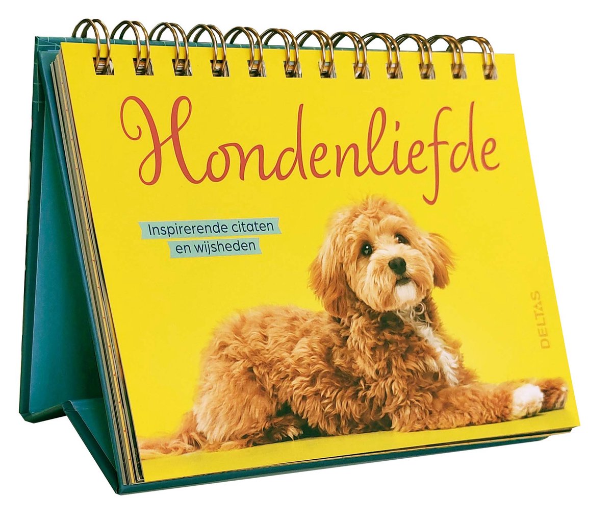 Hondenliefde Inspirerende citaten en wijsheden