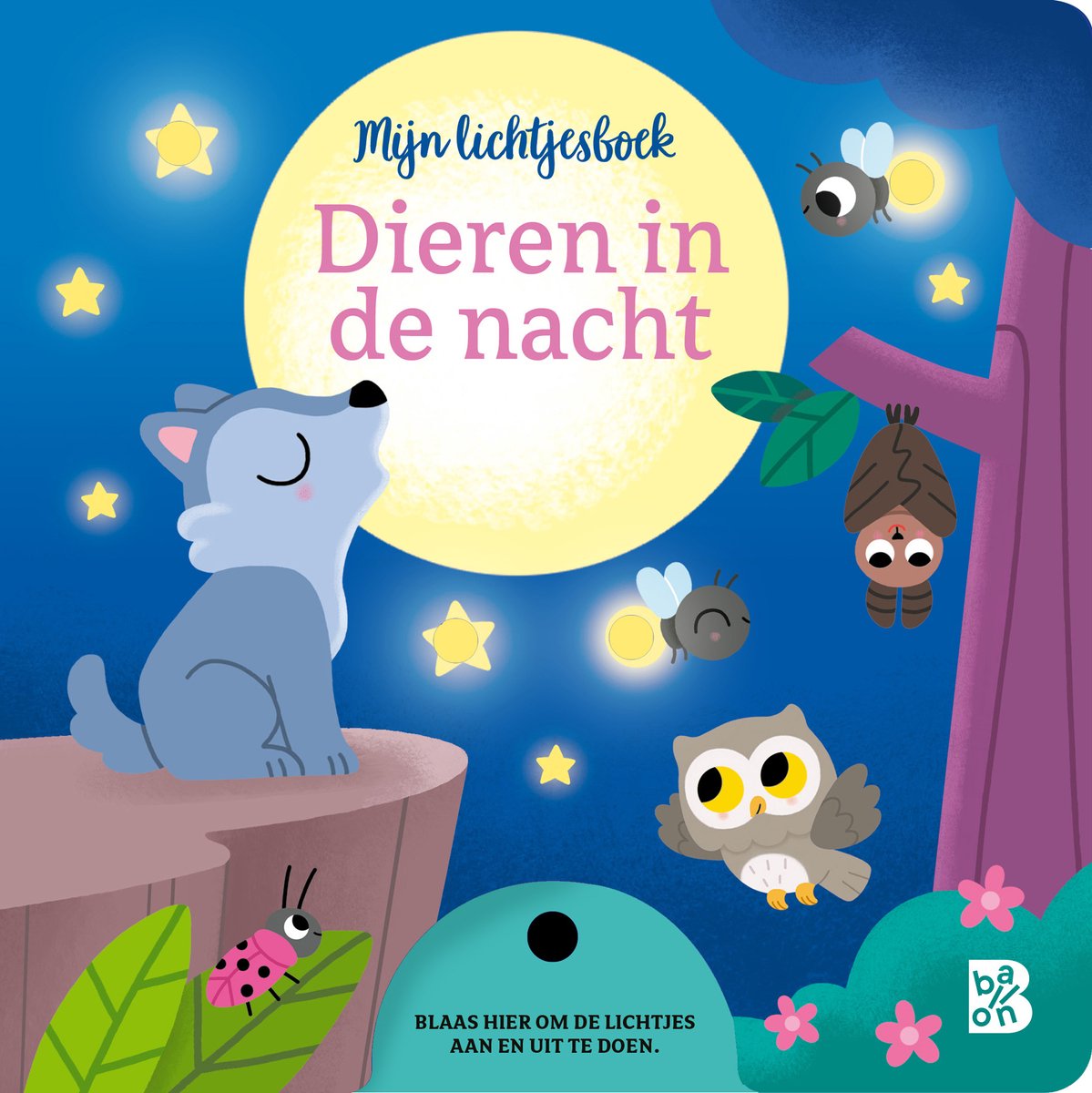 Lichtjesboek - Dieren in de nacht