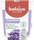 BOLSIUS Geurkaars in glas - lavendel