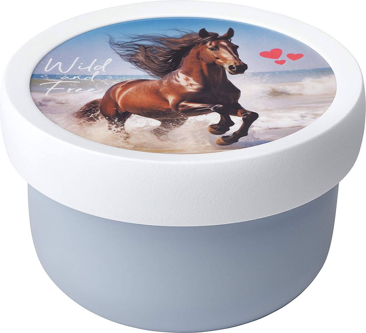 MEPAL fruitbox campus 300 ml - wild horse