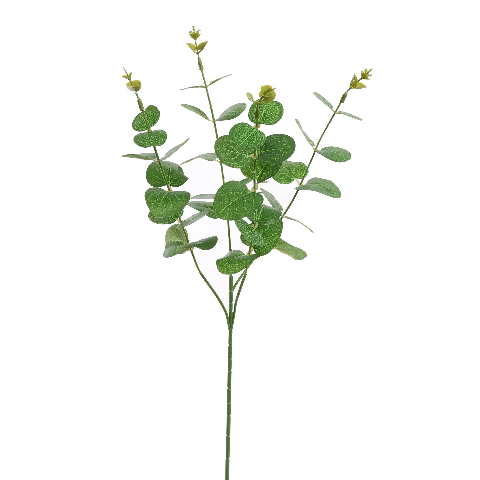 Eucalyptus 60Cm - Green