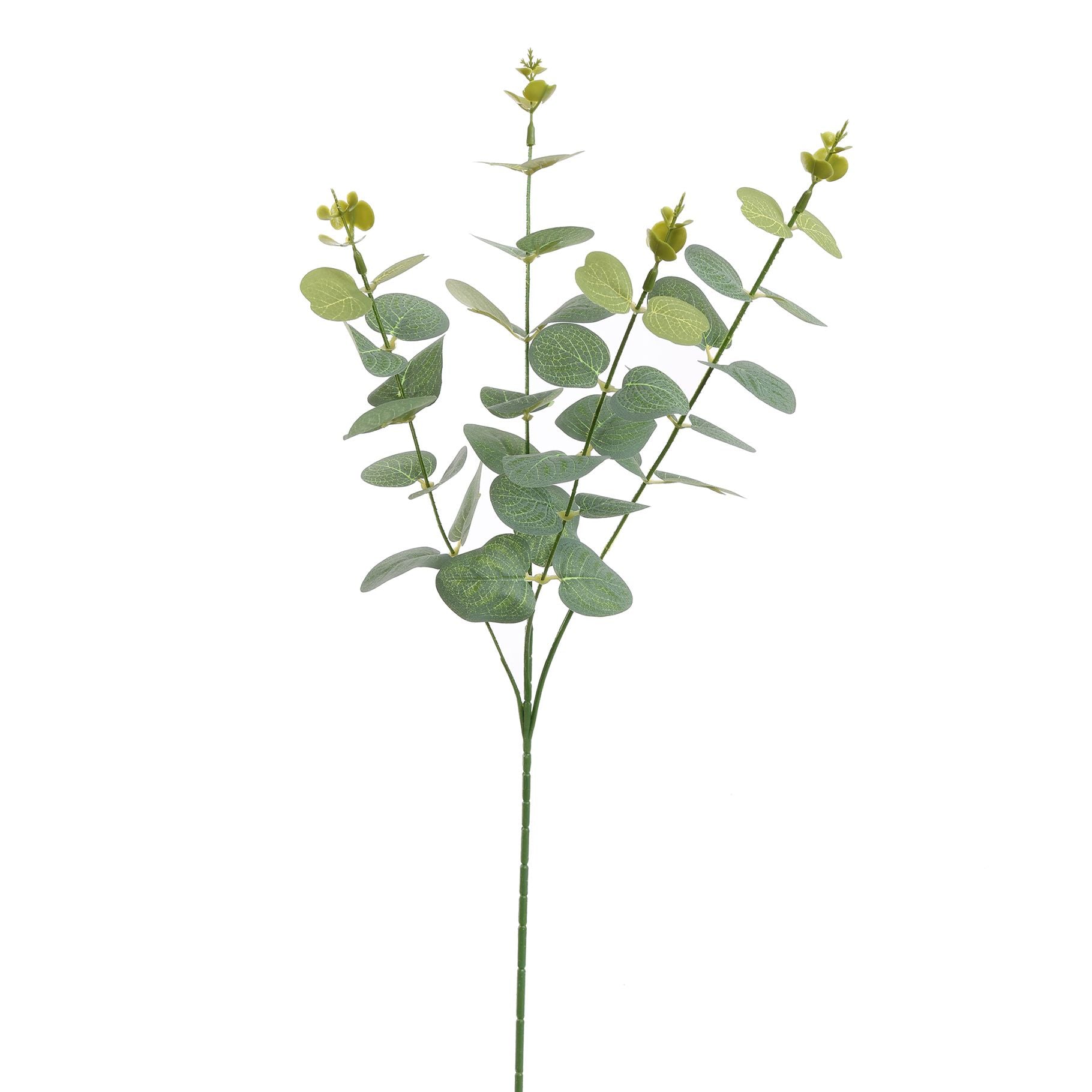 Eucalyptus 60Cm - Grey