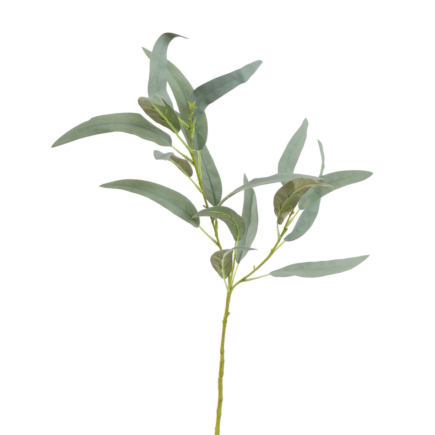 Eucalyptus Spray 60Cm - Grey