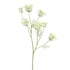 Anethum Spray 107Cm - Cream