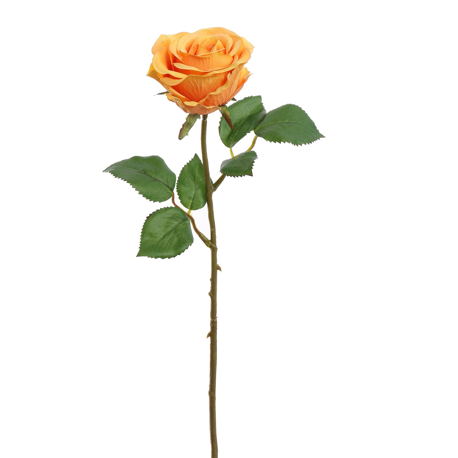 Rose 45Cm - Orange