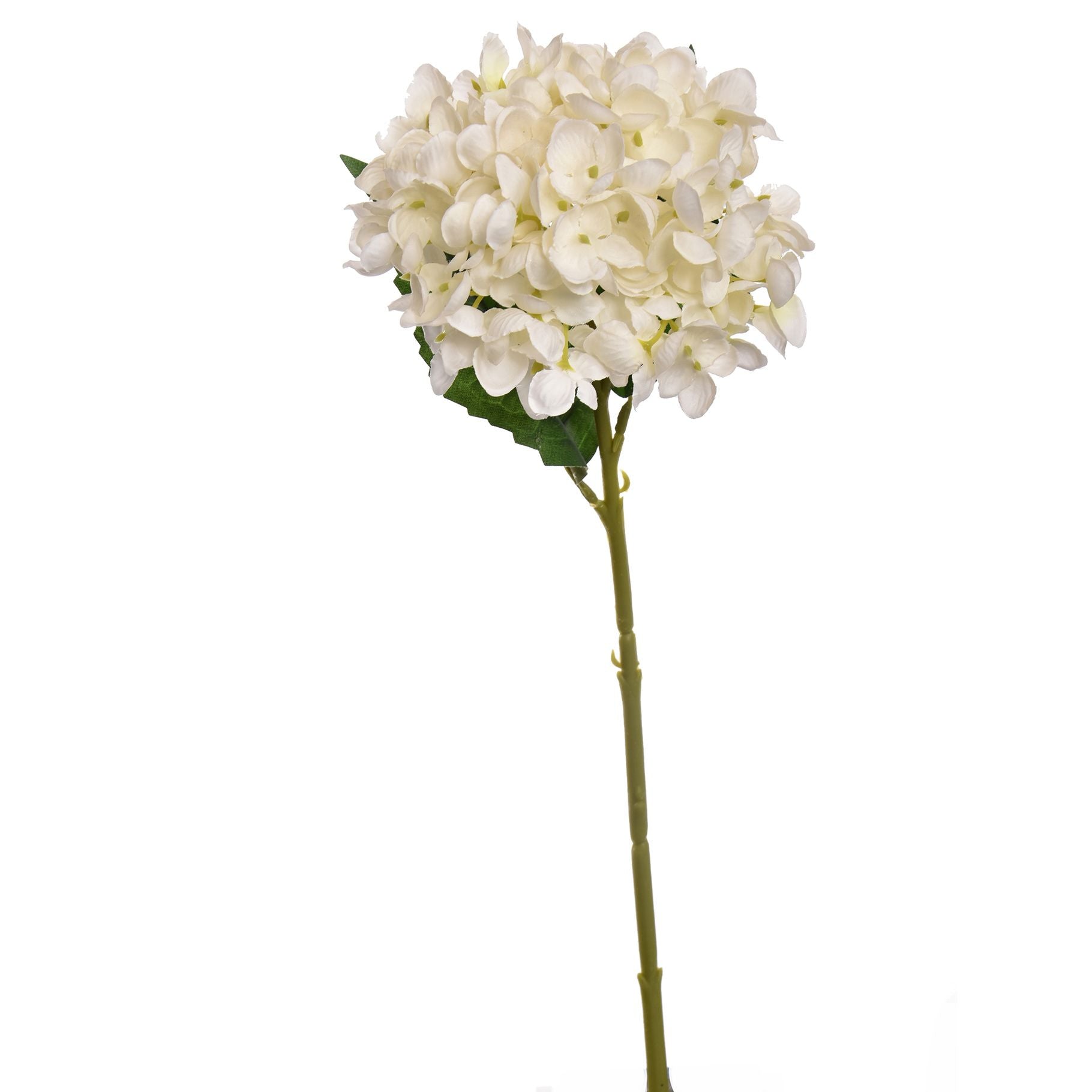 Hydrangea 45Cm - Cream