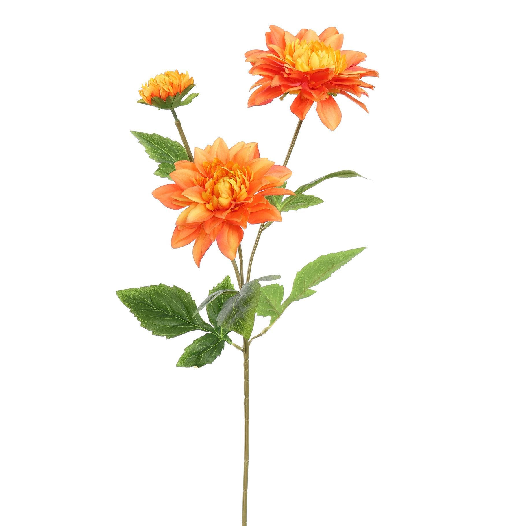 Dahlia X3 Spray 65Cm - Orange