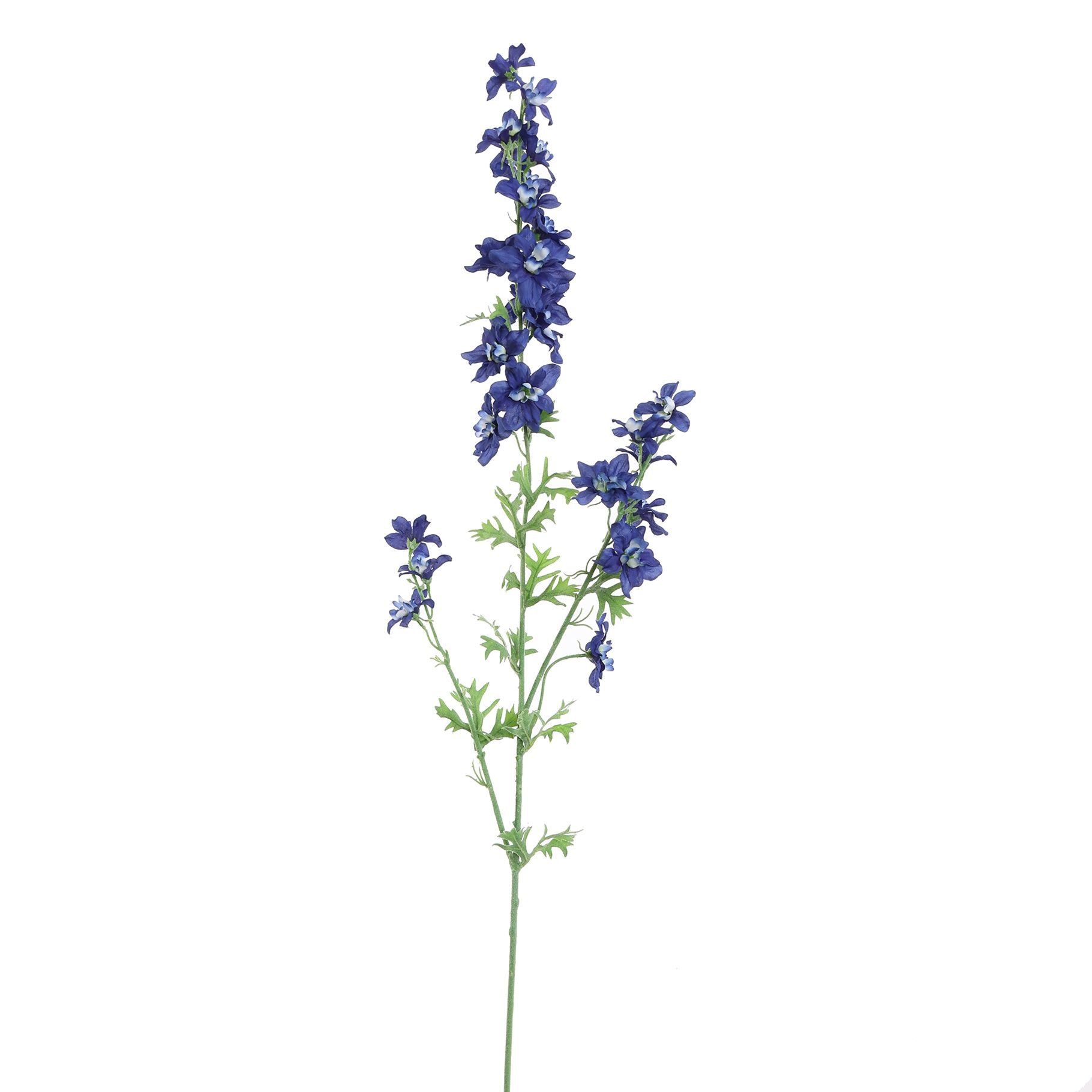 Delphinium 95Cm - Dark Blue