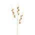 Long Cosmos 105Cm - Orange