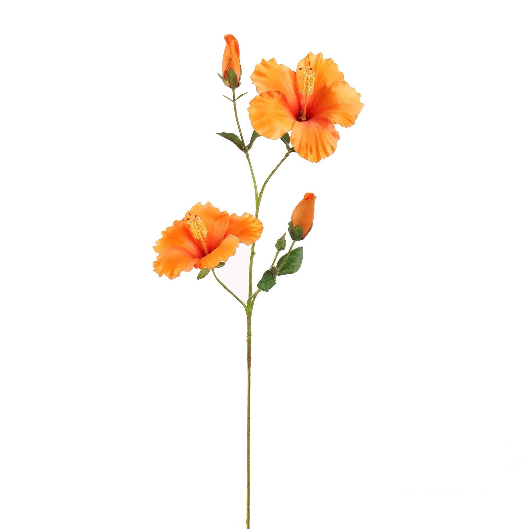 Hibiscus 75Cm - Orange
