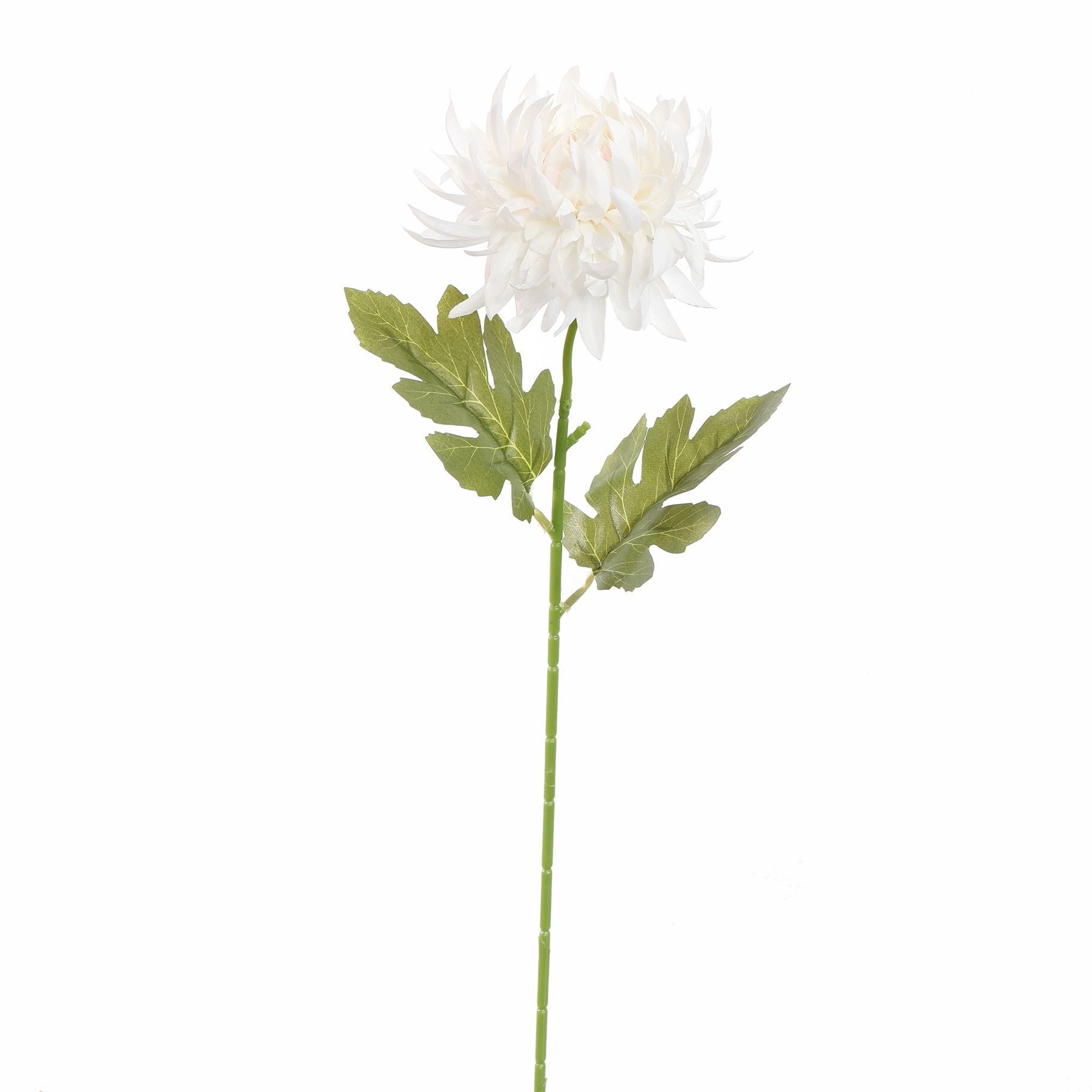 Small Mum 60Cm - Cream
