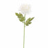 Small Mum 60Cm - Cream