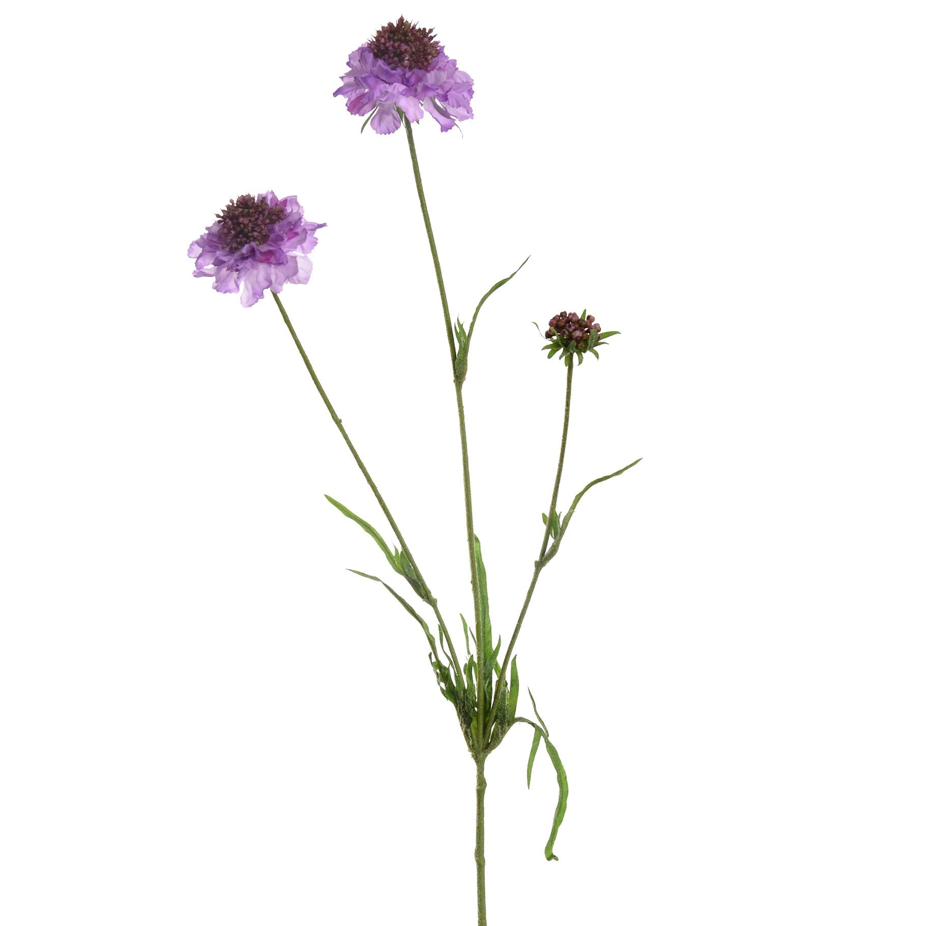 Scabiosa Spray 66Cm - Lavender