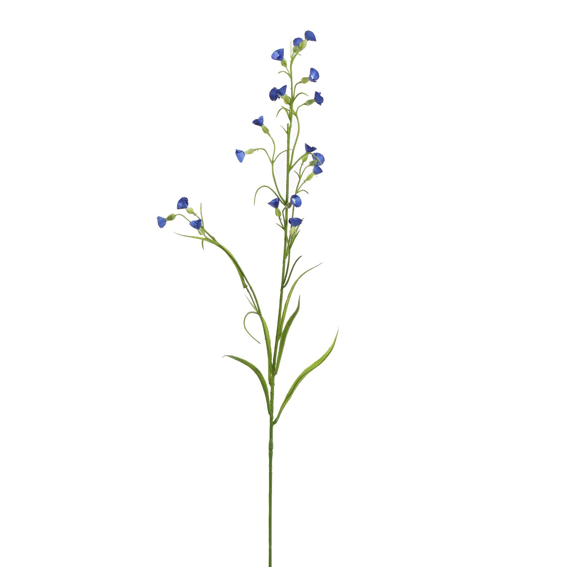 Mini Nicotiana 75Cm - Blue